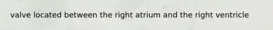 valve located between the right atrium and the right ventricle