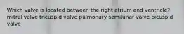 Which valve is located between the right atrium and ventricle? mitral valve tricuspid valve pulmonary semilunar valve bicuspid valve