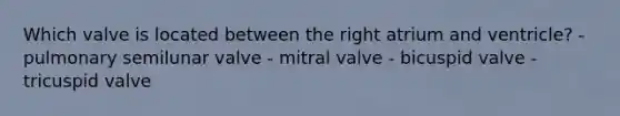 Which valve is located between the right atrium and ventricle? - pulmonary semilunar valve - mitral valve - bicuspid valve - tricuspid valve