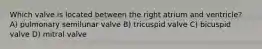 Which valve is located between the right atrium and ventricle? A) pulmonary semilunar valve B) tricuspid valve C) bicuspid valve D) mitral valve