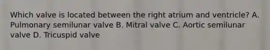 Which valve is located between the right atrium and ventricle? A. Pulmonary semilunar valve B. Mitral valve C. Aortic semilunar valve D. Tricuspid valve