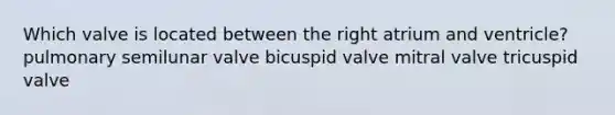 Which valve is located between the right atrium and ventricle? pulmonary semilunar valve bicuspid valve mitral valve tricuspid valve