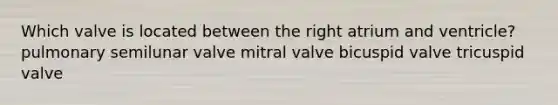 Which valve is located between the right atrium and ventricle? pulmonary semilunar valve mitral valve bicuspid valve tricuspid valve