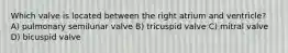 Which valve is located between the right atrium and ventricle? A) pulmonary semilunar valve B) tricuspid valve C) mitral valve D) bicuspid valve