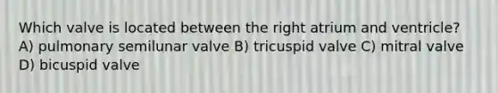 Which valve is located between the right atrium and ventricle? A) pulmonary semilunar valve B) tricuspid valve C) mitral valve D) bicuspid valve