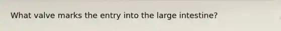 What valve marks the entry into the large intestine?
