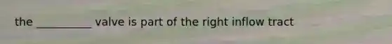 the __________ valve is part of the right inflow tract