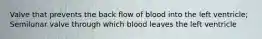 Valve that prevents the back flow of blood into the left ventricle; Semilunar valve through which blood leaves the left ventricle