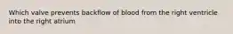 Which valve prevents backflow of blood from the right ventricle into the right atrium