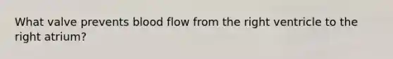 What valve prevents blood flow from the right ventricle to the right atrium?