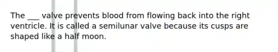 The ___ valve prevents blood from flowing back into the right ventricle. It is called a semilunar valve because its cusps are shaped like a half moon.