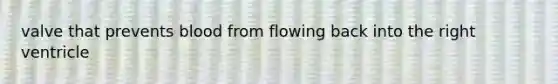 valve that prevents blood from flowing back into the right ventricle