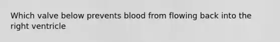 Which valve below prevents blood from flowing back into the right ventricle