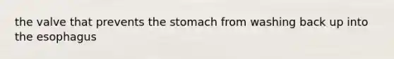 the valve that prevents the stomach from washing back up into the esophagus