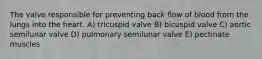 The valve responsible for preventing back flow of blood from the lungs into the heart. A) tricuspid valve B) bicuspid valve C) aortic semilunar valve D) pulmonary semilunar valve E) pectinate muscles