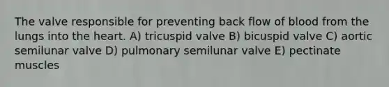 The valve responsible for preventing back flow of blood from the lungs into the heart. A) tricuspid valve B) bicuspid valve C) aortic semilunar valve D) pulmonary semilunar valve E) pectinate muscles