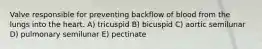 Valve responsible for preventing backflow of blood from the lungs into the heart. A) tricuspid B) bicuspid C) aortic semilunar D) pulmonary semilunar E) pectinate