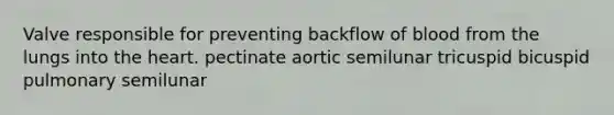 Valve responsible for preventing backflow of blood from the lungs into <a href='https://www.questionai.com/knowledge/kya8ocqc6o-the-heart' class='anchor-knowledge'>the heart</a>. pectinate aortic semilunar tricuspid bicuspid pulmonary semilunar