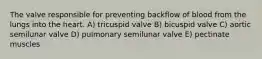 The valve responsible for preventing backflow of blood from the lungs into the heart. A) tricuspid valve B) bicuspid valve C) aortic semilunar valve D) pulmonary semilunar valve E) pectinate muscles