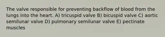 The valve responsible for preventing backflow of blood from the lungs into the heart. A) tricuspid valve B) bicuspid valve C) aortic semilunar valve D) pulmonary semilunar valve E) pectinate muscles