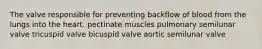 The valve responsible for preventing backflow of blood from the lungs into the heart. pectinate muscles pulmonary semilunar valve tricuspid valve bicuspid valve aortic semilunar valve