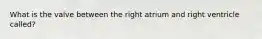 What is the valve between the right atrium and right ventricle called?