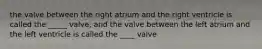 the valve between the right atrium and the right ventricle is called the _____ valve, and the valve between the left atrium and the left ventricle is called the ____ valve