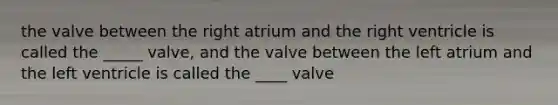 the valve between the right atrium and the right ventricle is called the _____ valve, and the valve between the left atrium and the left ventricle is called the ____ valve