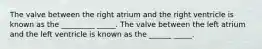 The valve between the right atrium and the right ventricle is known as the _________ _____. The valve between the left atrium and the left ventricle is known as the ______ _____.