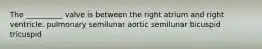 The __________ valve is between the right atrium and right ventricle. pulmonary semilunar aortic semilunar bicuspid tricuspid