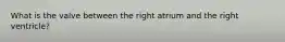 What is the valve between the right atrium and the right ventricle?