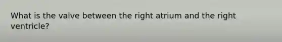 What is the valve between the right atrium and the right ventricle?