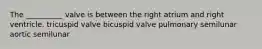 The __________ valve is between the right atrium and right ventricle. tricuspid valve bicuspid valve pulmonary semilunar aortic semilunar