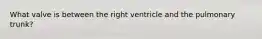 What valve is between the right ventricle and the pulmonary trunk?