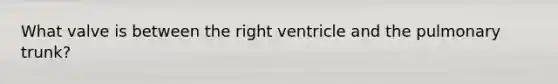 What valve is between the right ventricle and the pulmonary trunk?