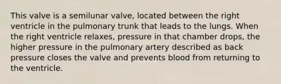 This valve is a semilunar valve, located between the right ventricle in the pulmonary trunk that leads to the lungs. When the right ventricle relaxes, pressure in that chamber drops, the higher pressure in the pulmonary artery described as back pressure closes the valve and prevents blood from returning to the ventricle.