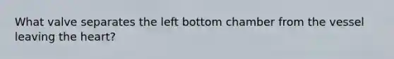 What valve separates the left bottom chamber from the vessel leaving the heart?