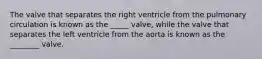 The valve that separates the right ventricle from the pulmonary circulation is known as the _____ valve, while the valve that separates the left ventricle from the aorta is known as the ________ valve.