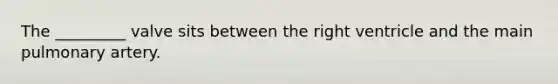 The _________ valve sits between the right ventricle and the main pulmonary artery.