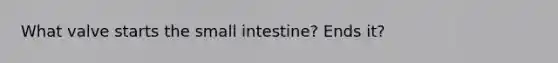 What valve starts the small intestine? Ends it?