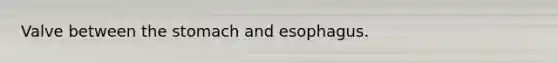 Valve between the stomach and esophagus.