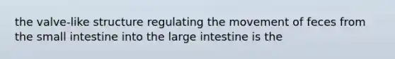 the valve-like structure regulating the movement of feces from the small intestine into the large intestine is the