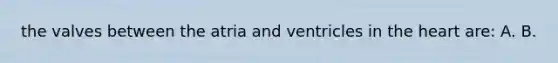 the valves between the atria and ventricles in <a href='https://www.questionai.com/knowledge/kya8ocqc6o-the-heart' class='anchor-knowledge'>the heart</a> are: A. B.