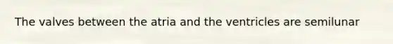The valves between the atria and the ventricles are semilunar