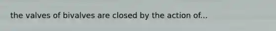 the valves of bivalves are closed by the action of...