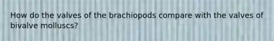 How do the valves of the brachiopods compare with the valves of bivalve molluscs?