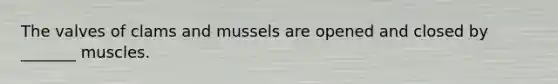 The valves of clams and mussels are opened and closed by _______ muscles.