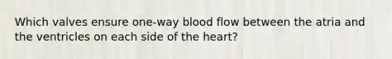 Which valves ensure one-way blood flow between the atria and the ventricles on each side of the heart?