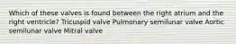 Which of these valves is found between the right atrium and the right ventricle? Tricuspid valve Pulmonary semilunar valve Aortic semilunar valve Mitral valve