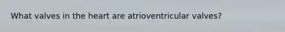 What valves in the heart are atrioventricular valves?